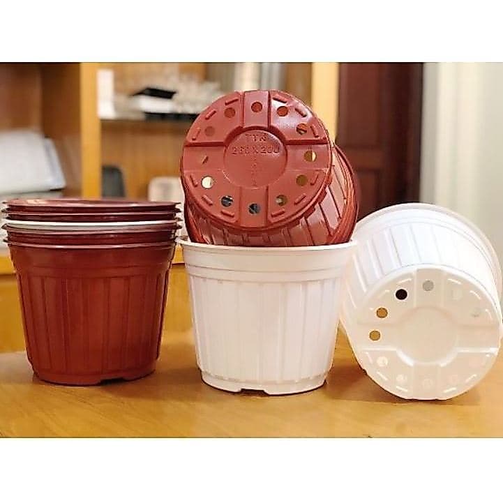 Chậu nhựa trồng hoa (kích thước 26x20cm) shop lấy màu ngẫu nhiên
