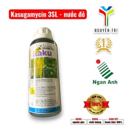 Kasumin 3SL-Kaku Ngân Anh 2
