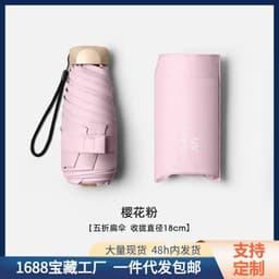 ô gấp gọn siêu nhỏ tiện lợi siêu xinh 9