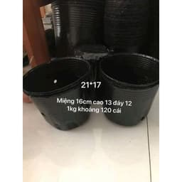 Bầu ươm cây trồng đủ kích thước 3