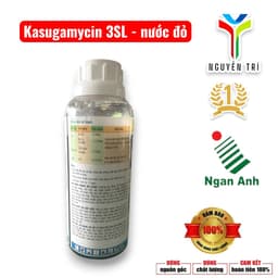Kasumin 3SL-Kaku Ngân Anh 5