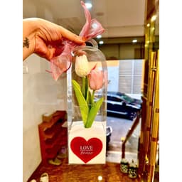 🌷 Combo SỈ -  Hộp Hoa Tulip Hộp Trong Suốt Kèm Đèn Led – Quà Tặng 💖 Ngọt Ngào &amp; Ý Nghĩa 🌷 1