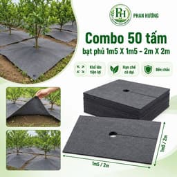 Combo 50 tấm bạt phủ 1m5x1m5 - 2mx2m - Vải địa kỹ thuật chống cỏ mọc 1