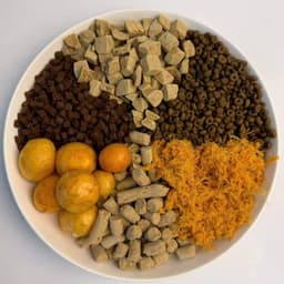 (Bao 10kg )Hạt Gemlucky Thức ăn hạt cao cấp dành cho chó mọi lứa tuổi Mix 5 Toping 4