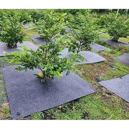 Combo 20 tấm bạt phủ cỏ vải địa kỹ thuật kích thước 40cm đến 80cm 9