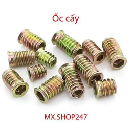 Sò cấy, ốc cấy gỗ, tán cấy gỗ M6 M8 1