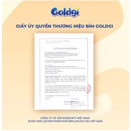 (COMBO 2B) Bỉm Goldgi+ PREMIUM / CAO CẤP quần dán đủ size Nb92/S84/M66/M60/L/XL/XL/XXL 4