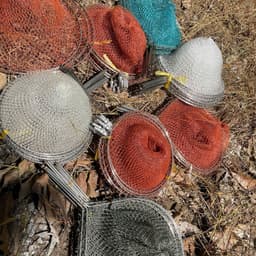Vợt Vớt Cá, vợt lưới IXON – Trợ Thủ Đắc Lực Cho Mọi Chuyến Đi Đồng, Hỗ Trợ Bắt Cá, Dễ Thao Tác 1