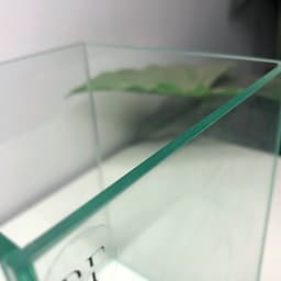 Bể Cá Betta Hình Trụ Đứng Kích Thước 14x14x20cm | Kính Việt Nhật Dán Dấu Keo | RF Aquarium 7