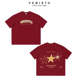 Áo Thun Local Brand VEQISTU " RADIANCE ", Áo Thun Boxy Form Rộng  250Gsm 100% Cotton 2 Chiều 4