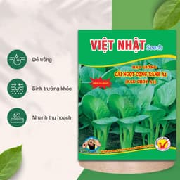 Hạt giống cải ngọt chịu nắng mưa - Dễ trồng, thu hoạch nhanh (Gói 20g ~ 4000 hạt) 2