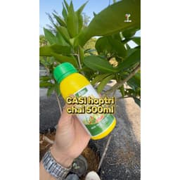 COMBO 20 CHAI HOPTRI CASI 500ML – Tiết Kiệm Hơn, Hiệu Quả Cho Nhà Vườn 2