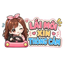 Decal Dán Nữ Lái Mới - Chibi Xinh Cute, Dễ Thương, Tạo Điểm Nhấn Độc Đáo Cho Chiếc Xe Của Bạn! 6