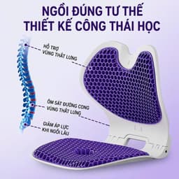 TC  Ghế Ngồi Công Thái Học Gấp Gọn Cao Cấp Đệm TPE Tổ Ong Êm Ái Thoáng Khí Hỗ Trợ Thắt Lưng Giảm Áp Lực Khi Ngồi 4
