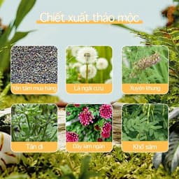 (Chính Hãng) (Hỏa Tốc) Kem bôi loại bỏ mụn thịt, mụn nhỏ ở cổ, mụn cóc ,Tuýp 20g 6