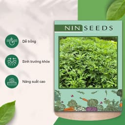 Hạt Giống Rau Ngải Cứu (1g ~ 500 Hạt) - Dễ Trồng, Sinh Trưởng Mạnh Mẽ 3