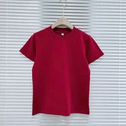[ Áo Thun MỎNG ] Áo thun cotton nữ Bình Dân cổ tròn vải mỏng nhẹ theu bọt biển dễ thương -thoitrang99 7