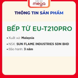 Bếp Từ Âm Đôi Eurosun EU-T210Pro 2 Vùng Nấu Kính Schott Ceran Inverter Tiết Kiệm Điện 2
