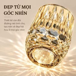 Bộ 6 Ly Thủy Tinh GOCHY HOME 300ml Vân Ong Dập Nổi 3D, Cốc Uống Nước Soda-Lime Không Chì, Dày Dặn Sang Trọng- Mix Vàng 4