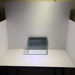 Hồ Show Cá 20x9x15cm Mặt Sau Dán Decan Đen 4