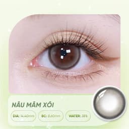 Kính Áp Tròng Màu HORIEN Beloved Eyes 1 Ngày 10 Chiếc – Lens Màu Tự Nhiên, DIA 14.2–14.4mm, BC 8.6mm, Độ Ẩm 38% 2