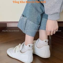 Set 10 Đôi Tất Vớ Cổ Thấp Chấm Bi Hình Cún Lạp Xưởng xᶖnh Xắn Đáng Yêu Phong Cách Hàn Quốc Thấm Hút Mồ Hôi VOICON-[TV01] 6