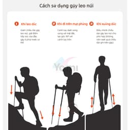 Gậy Leo Núi Trekking Gậy Dã Ngoại Hợp Kim Nhôm Chống Sốc Chống Trượt 4 Đoạn Có Thể Thu Gọn 5