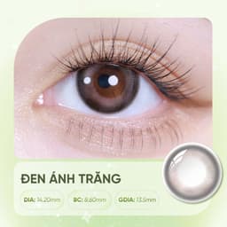Lens Màu HORIEN Explorer Plan 1 Ngày 2 Chiếc – Kính Áp Tròng Cận 0–7 Độ, DIA 14.1–14.4mm, GDIA 13.4–13.5mm, Ẩm Mượt 38% 2