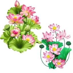 Miếng Dán Tường Hoa Sen 3D Sang Trọng, Tinh Tế, Trang Trí Nhà, Toilet, Tủ Lạnh 7