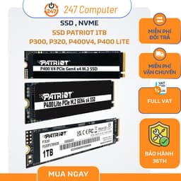 Ổ cứng SSD Patriot P300, P320, P400v4, P400 Lite  1TB M.2 2280 PCIe Gen3 x4 - BH 60 tháng 1