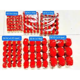 Combo 30cái lồng đèn đỏ mini bằng nhựa bọc vải nhung trang trí lễ hội, Tết 3