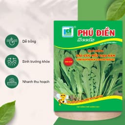 Hạt giống Cải Cúc Nếp 20g - Dễ trồng, kháng sâu bệnh, nhanh thu hoạch, năng suất cao. 2
