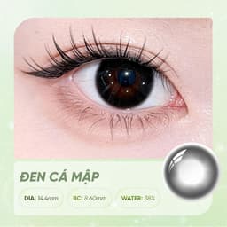 Kính Áp Tròng Màu HORIEN Girls 1 Ngày 10 Chiếc – Lens Màu Nâu/Đen Tự Nhiên, DIA 14.2–14.4mm, BC 8.6mm, Water 38% 3