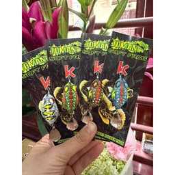 Combo Phụ Kiện Câu Lure Đầy Đủ – Dây PE, Mồi Lure Tùy Chọn, Leader, Khóa Snap, Chụp Chì, Khóa Số 8 8