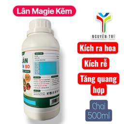 SIÊU LÂN MAGIE KẼM BO (500ML) - BÍ QUYẾT BUNG ĐỌT VỌT CHỒI, RỄ Ra DÀY ĐẶC! 2