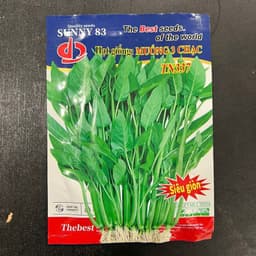 Hạt giống Rau Muống Ba Chạc 10g - Dễ trồng, nhanh thu hoạch, cây khỏe quanh năm 5