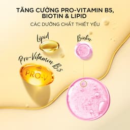 Dầu Gội PANTENE MIRACLES 0% Silicone Bổ Sung Dưỡng Chất Ngăn Rụng Tóc Biotin - Chai 300ML 3