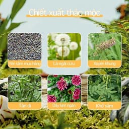 (Chính Hãng) (Hỏa Tốc) Kem bôi loại bỏ mụn thịt, mụn nhỏ ở cổ, mụn cóc, nách – Dưỡng da làm đẹp. 5