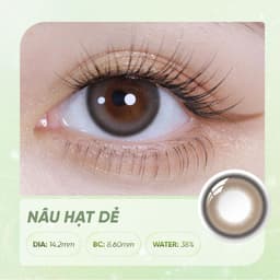 Lens Màu HORIEN Beloved Eyes 1 Ngày 2 Chiếc – Kính Áp Tròng Nâu Hạt Dẻ, Nâu Hạt Dẻ Pro, Xám Mây Bông, Nâu Đậu Vàng,14.2m 2