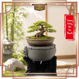 Tượng trống đá sa thạch - trưng bày tiểu cảnh, bán cạn, bonsai, terrarium 2