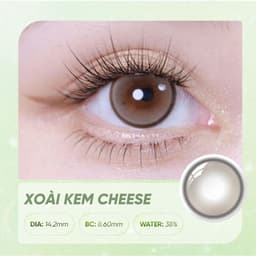 Kính Áp Tròng Màu HORIEN Girls 1 Ngày 10 Chiếc – Lens Màu Nâu/Đen Tự Nhiên, DIA 14.2–14.4mm, BC 8.6mm, Water 38% 4