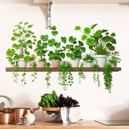 DT16 - 40x70cm Decaltrong dán tường chậu cây xanh, (40cm x 70cm) kệ cây xanh dán trang trí phòng khách phòng ngủ 5