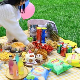 Thảm dã ngoại picnic hoạt tiết, thích hợp đi du lịch, đi phượt chụp ảnh, bạt trải cắm trại gấp gọn VOICON-[TV01] 4