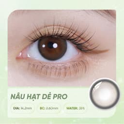 Lens Màu HORIEN Beloved Eyes 1 Ngày 2 Chiếc – Kính Áp Tròng Nâu Hạt Dẻ, Nâu Hạt Dẻ Pro, Xám Mây Bông, Nâu Đậu Vàng,14.2m 3