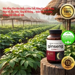 Viên Nang Hồng Sâm Hàn Quốc 6 Năm Tuổi - Hỗ Trợ Sức Bền, Thể Lực & Sức Đề Kháng_GIÁ SIÊU RẺ [Z 1