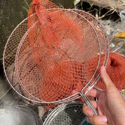 VỢT INOX XÚC CÁ – ĐA DẠNG KÍCH CỠ, NHIỀU LOẠI TÙNG VÀ GÂN ĐAN TAY, BỀN CHẮC DỄ SỬ DỤNG 7
