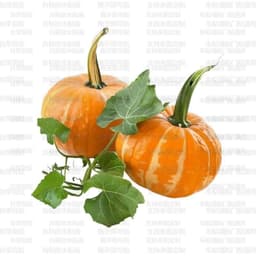 Decal Dán Hình Quả Bí Ngô 3D Trang Trí Tủ Lạnh, Tủ Bếp Chống Thấm Nước 3