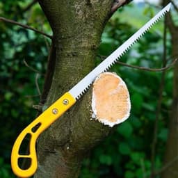 Cưa gỗ luoi thép cán nhựa cầm tay mini , cưa thạch cao ,cưa cành bon sai , cưa cây vị trí hẹp 2