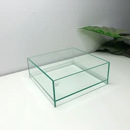 Bể Bán Cạn Mini 20x20x8cm Nâng Đáy 2cm | RF Aquarium 7