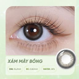 Kính Áp Tròng Màu HORIEN Beloved Eyes 1 Ngày 10 Chiếc – Lens Nâu Hạt Dẻ, Xám Mây Bông, Nâu Đậu Vàng, DIA 14.2mm, BC 8.6m 4